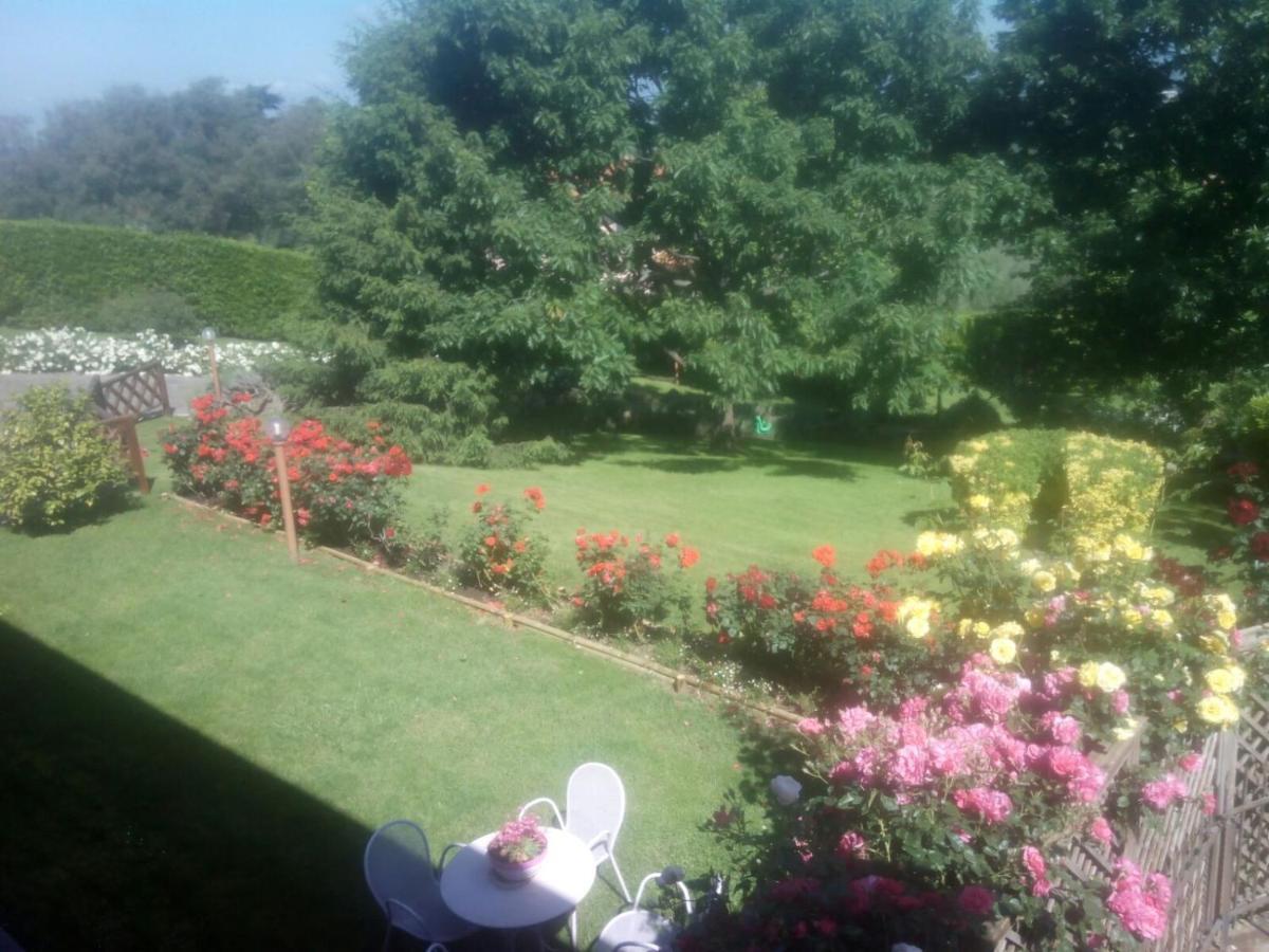 La Staccionata Bianca Bed & Breakfast วิแตร์โบ ภายนอก รูปภาพ